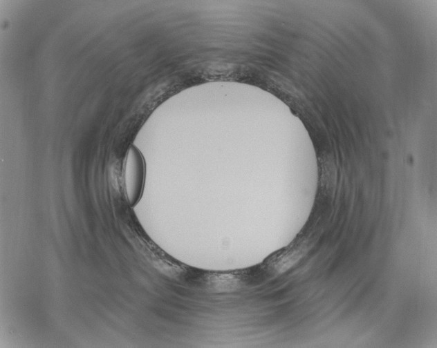 X0000071770287200607282221