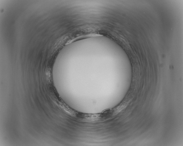 X0000071770288200607282221