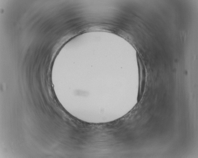 X0000071770289200607282220