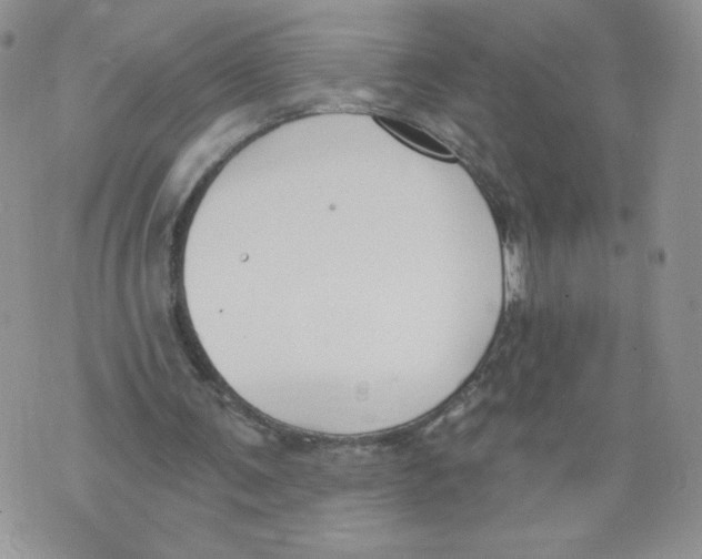 X0000071770291200607282220