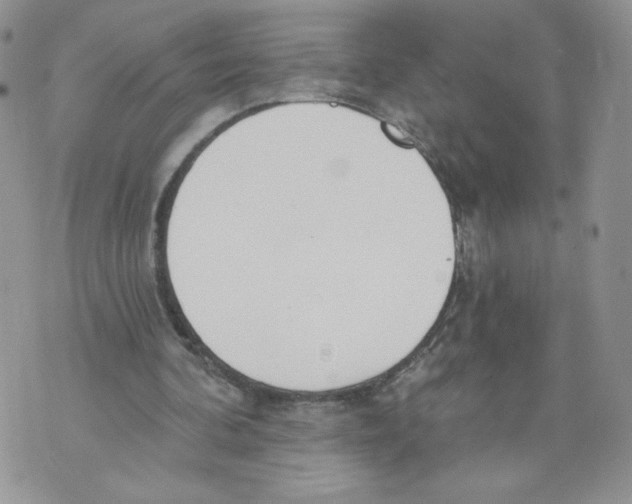 X0000071770292200607282220