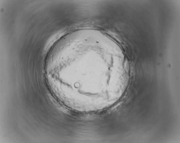 X0000071770293200607282220