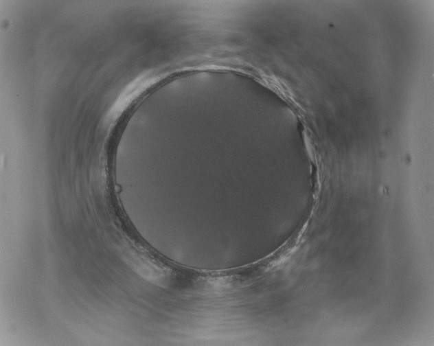 X0000071770295200607282220