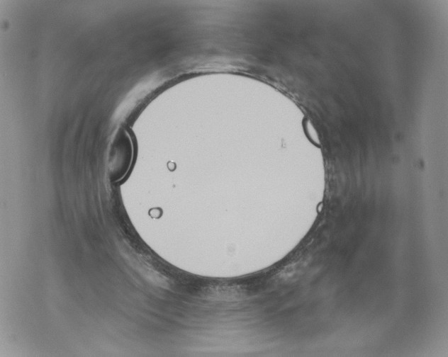 X0000071770296200607282220