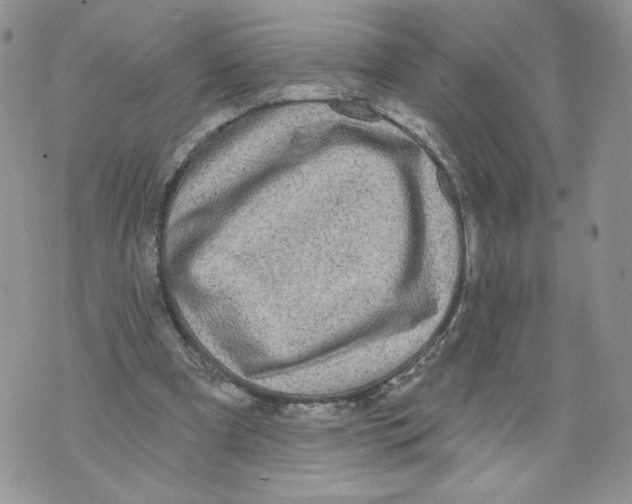 X0000071770297200607282220