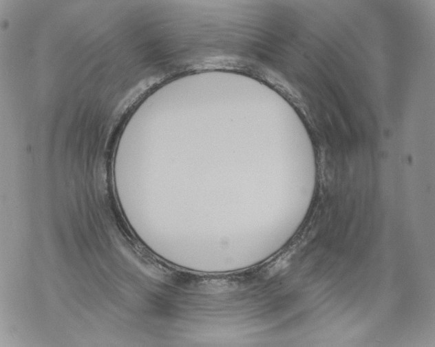 X0000071770298200607282220