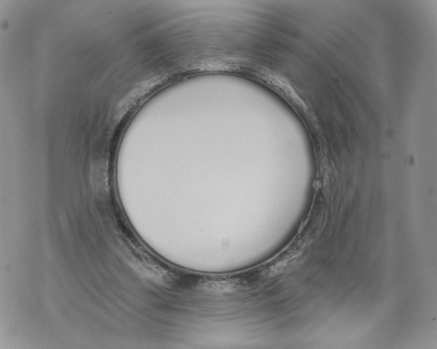 X0000071770299200607282220