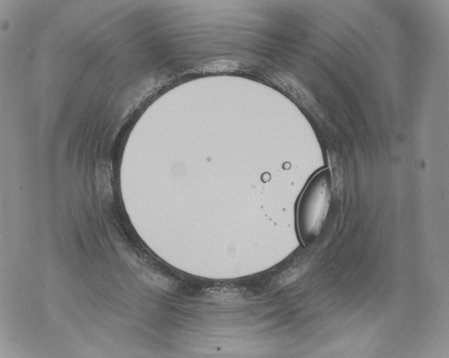 X0000071770300200607282220