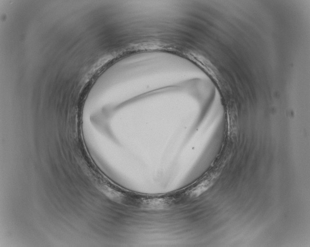 X0000071770301200607282220