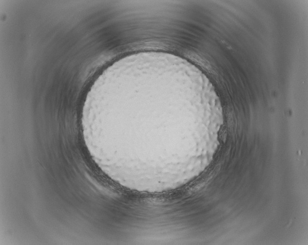 X0000071770302200607282220