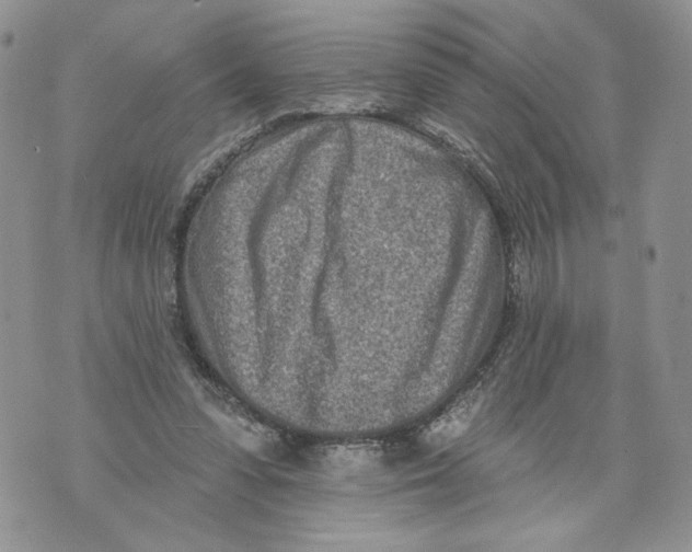 X0000071770303200607282220