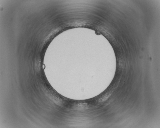 X0000071770304200607282220