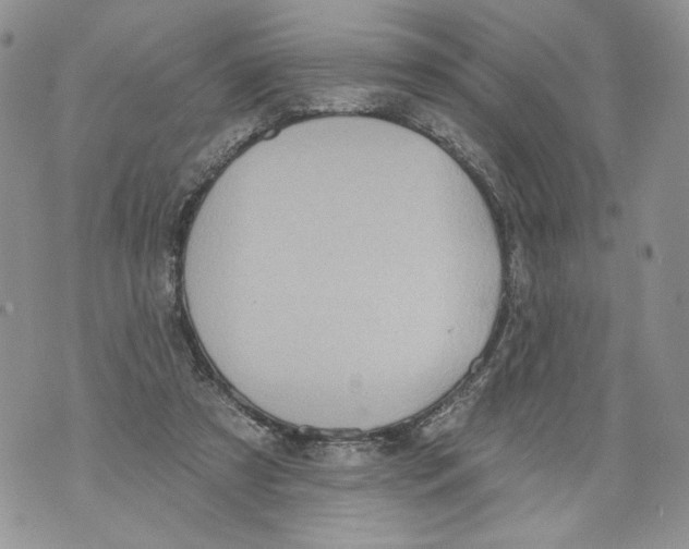 X0000071770305200607282220