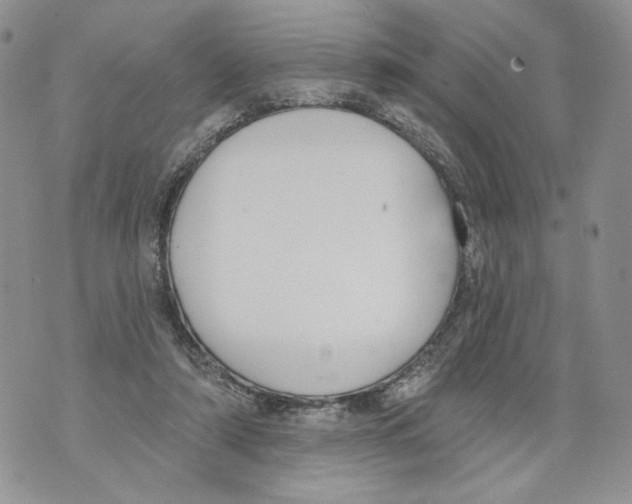 X0000071770306200607282220