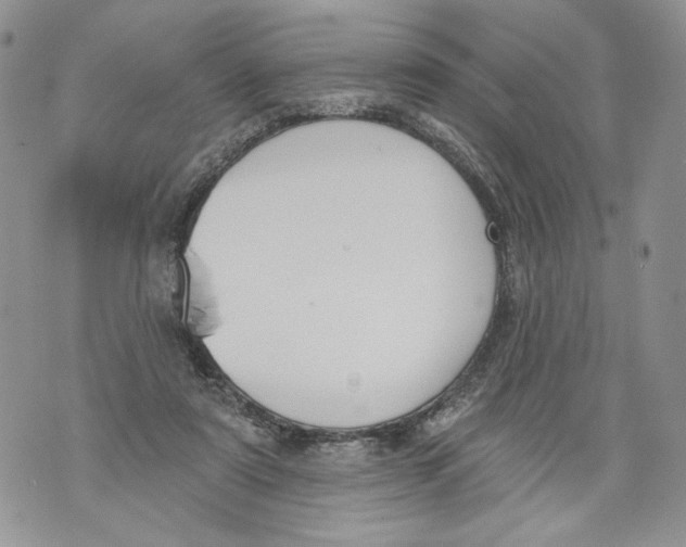 X0000071770307200607282220