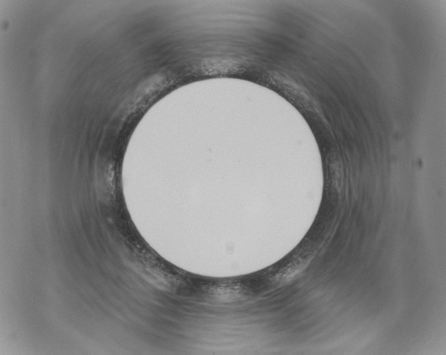 X0000071770308200607282220