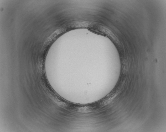 X0000071770309200607282220