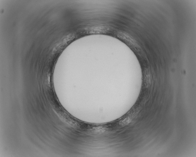 X0000071770310200607282220