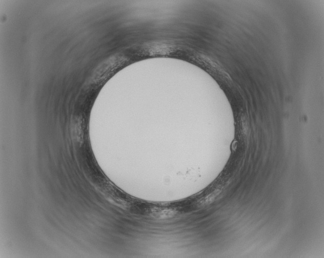 X0000071770311200607282220