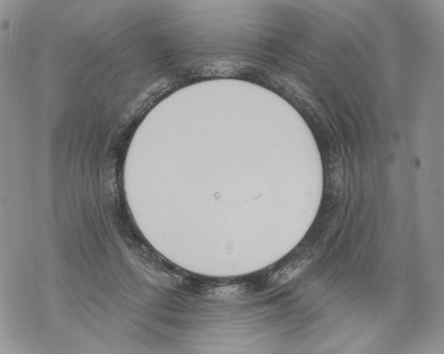 X0000071770312200607282220