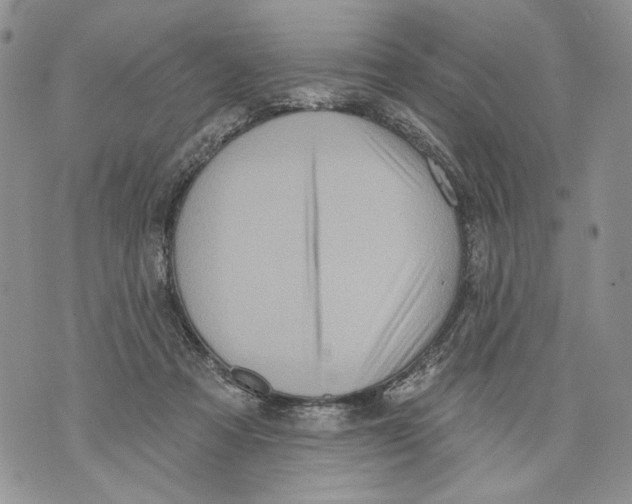 X0000071770313200607282220