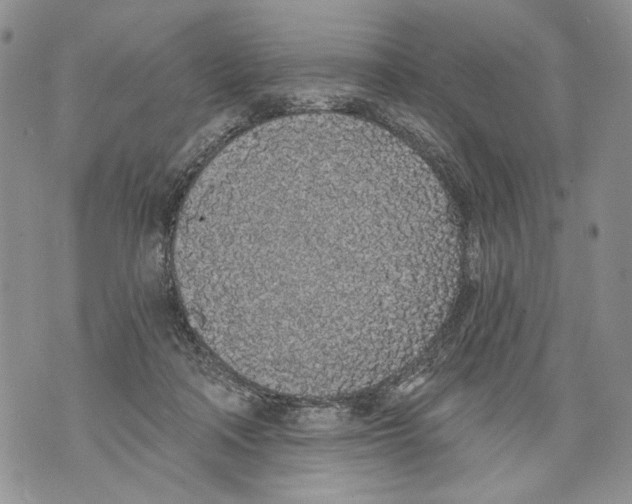 X0000071770314200607282219