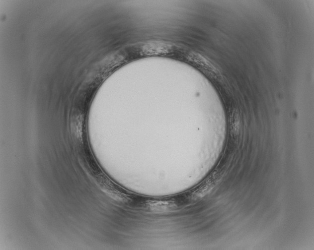 X0000071770315200607282219