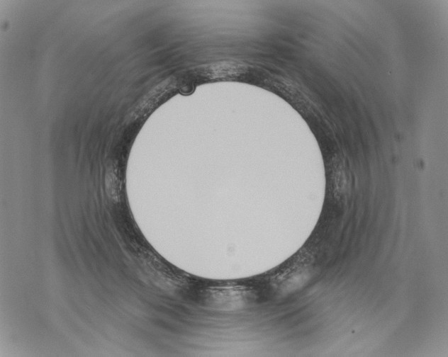 X0000071770316200607282219