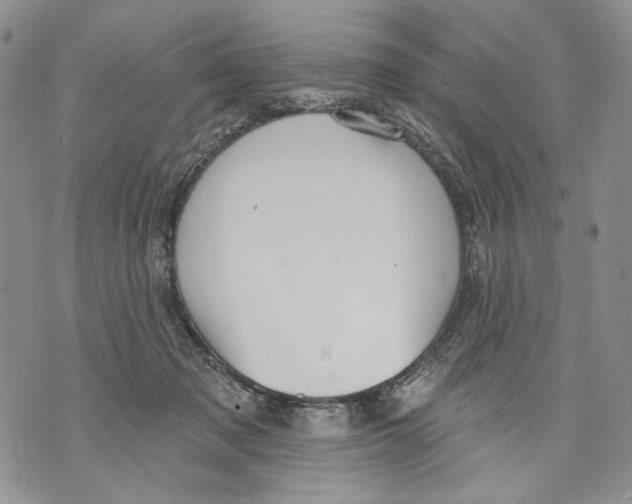 X0000071770317200607282219