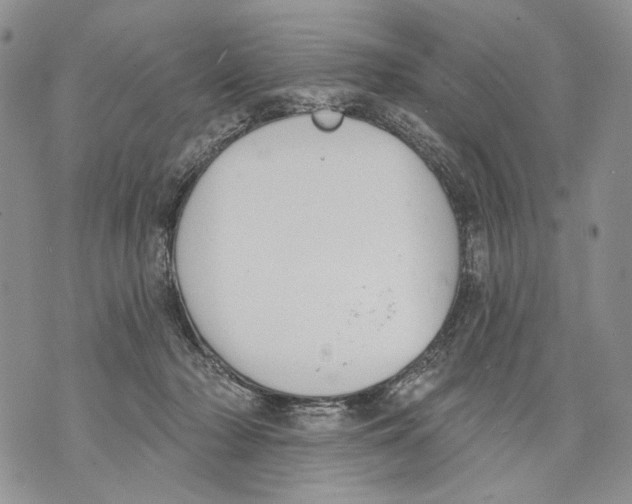 X0000071770318200607282219