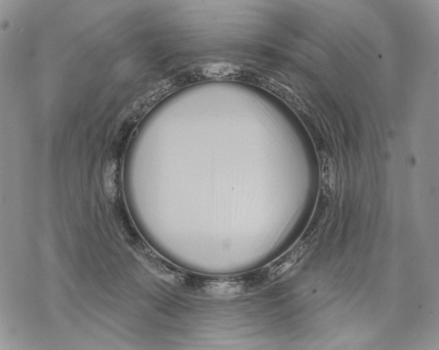 X0000071770319200607282219