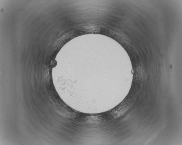 X0000071770320200607282219