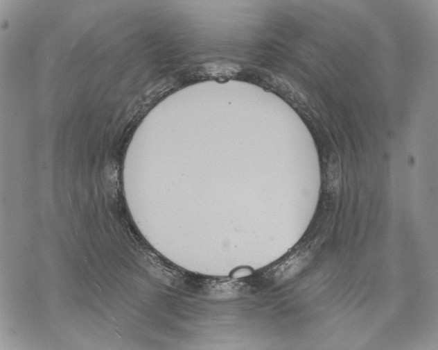 X0000071770321200607282219