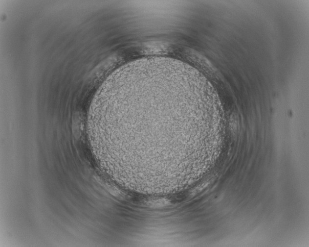 X0000071770322200607282219