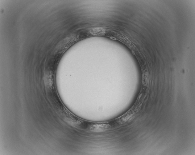 X0000071770323200607282219