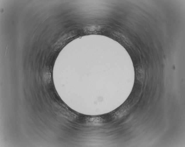 X0000071770324200607282219