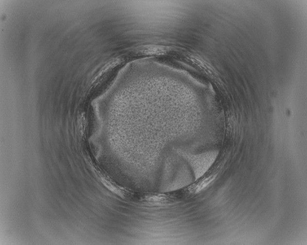 X0000071770325200607282219