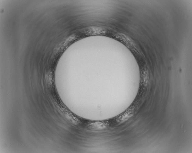 X0000071770326200607282219