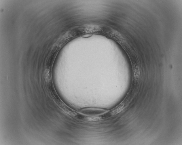 X0000071770327200607282219