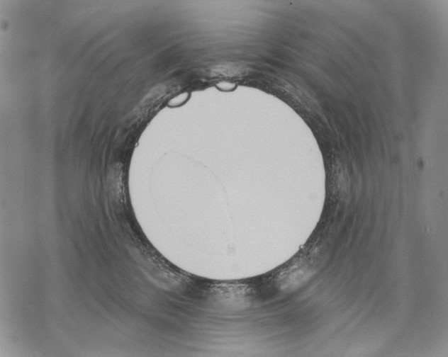 X0000071770328200607282219