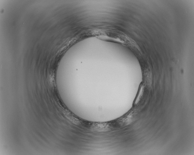 X0000071770329200607282219