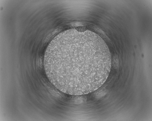 X0000071770330200607282219