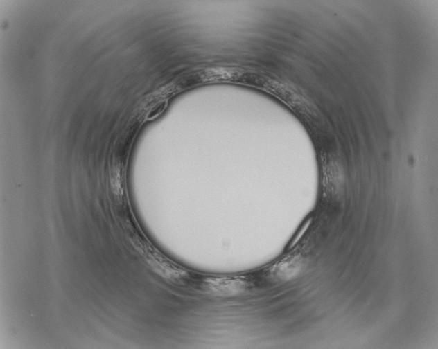 X0000071770331200607282219