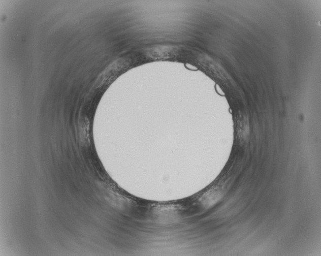 X0000071770332200607282219