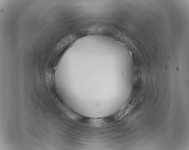 X0000071770333200607282219