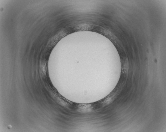 X0000071770334200607282219