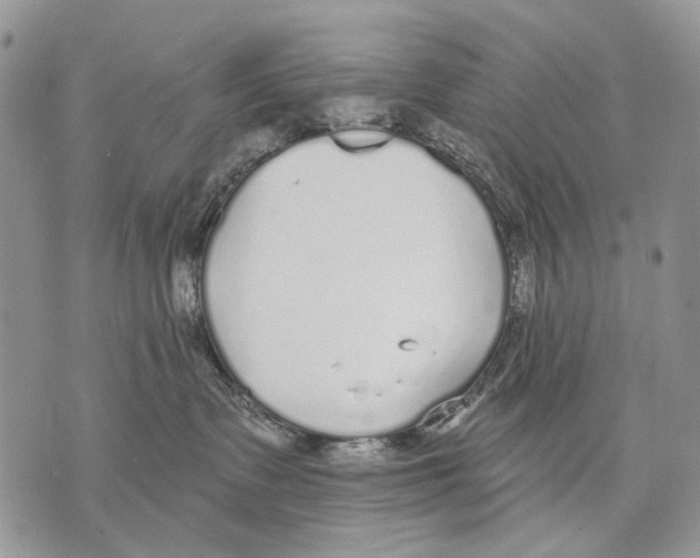 X0000071770335200607282219