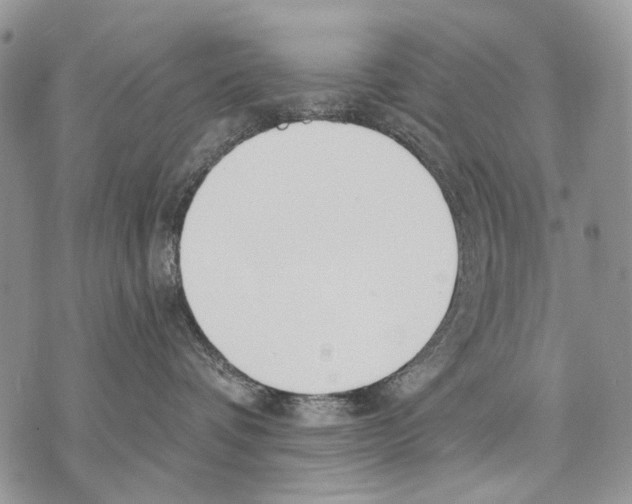 X0000071770336200607282219