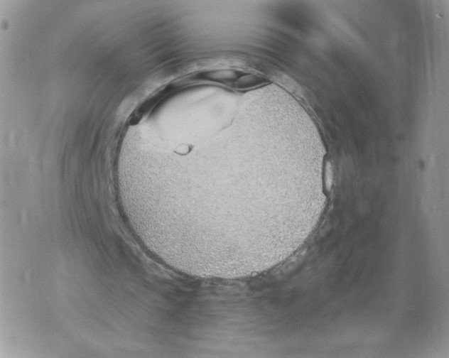 X0000071770337200607282218