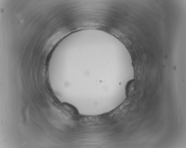 X0000071770338200607282218